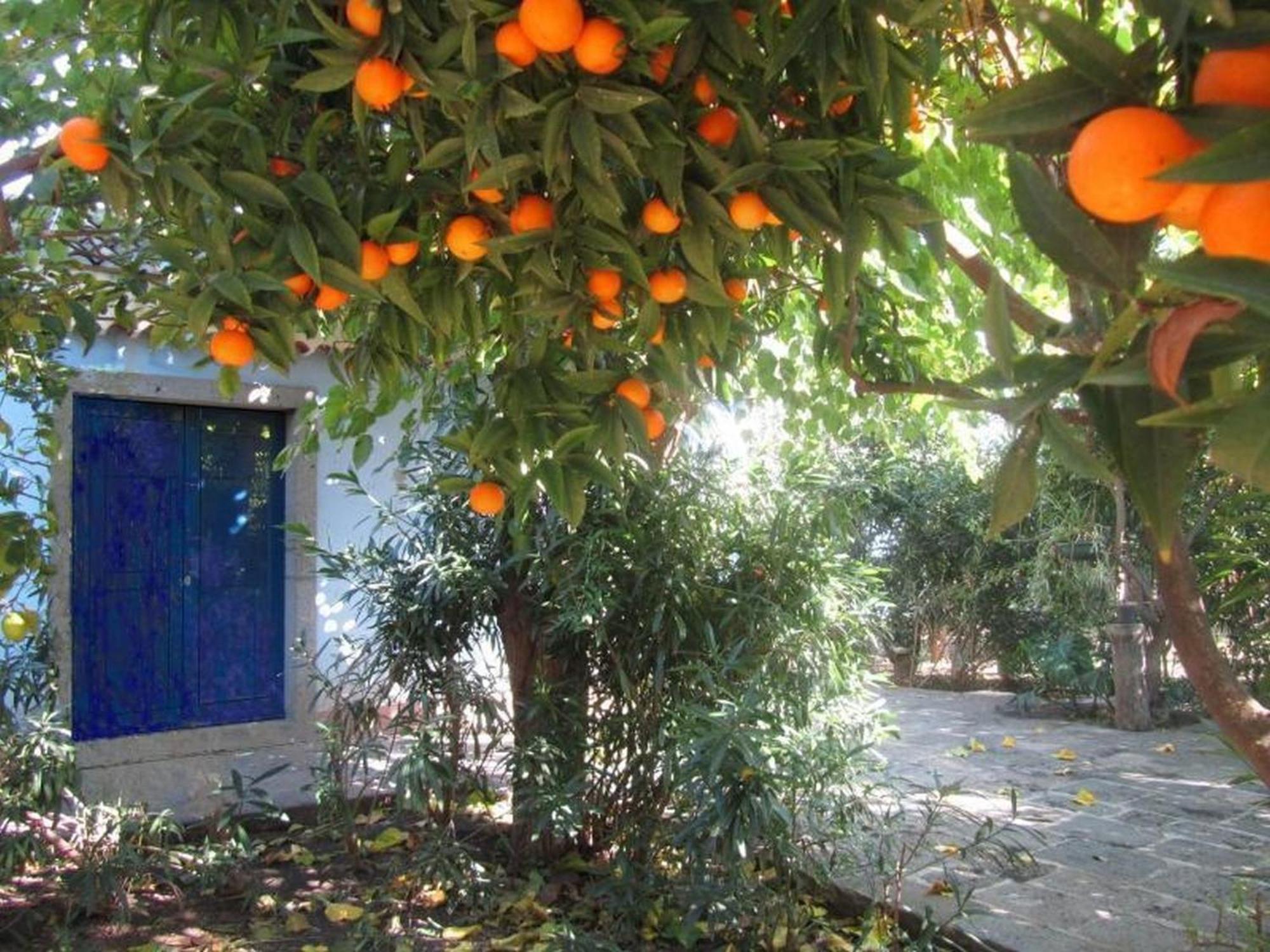 Apartamento Come In Sicily La Pietra Monaca Acireale Habitación foto